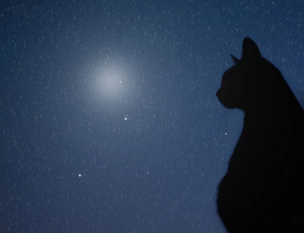 Beitragsbild zu Ransomware „Embargo“ im Visier: TRM Labs enthüllt Methoden und Verbindungen zu BlackCat